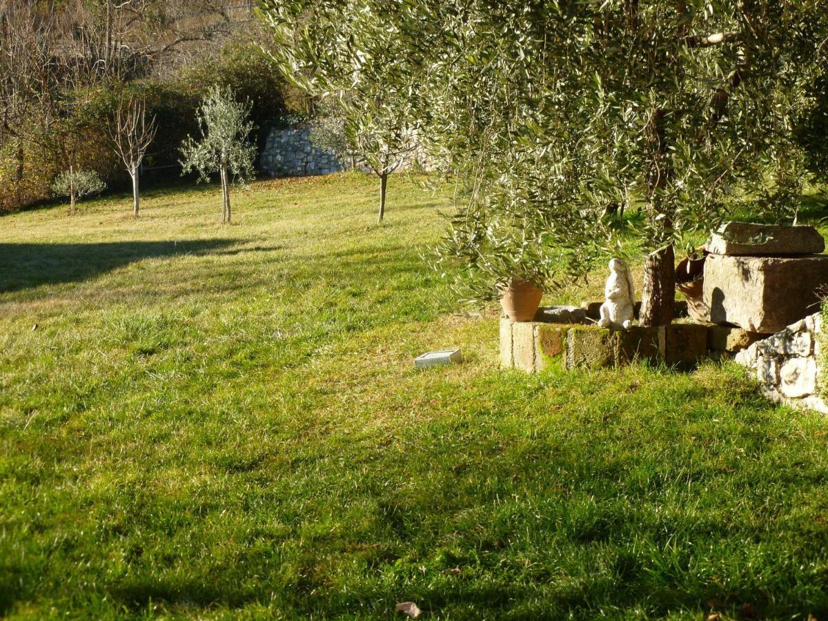 Casa Teodoro - Gelsomino & Ulivi Leilighet Tignale Eksteriør bilde